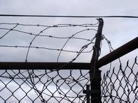 fence-lines.jpg