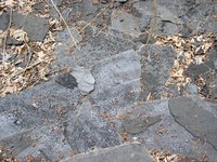 roofing-texture3.jpg