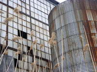 silo.jpg