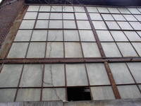 vine-and-glass.jpg